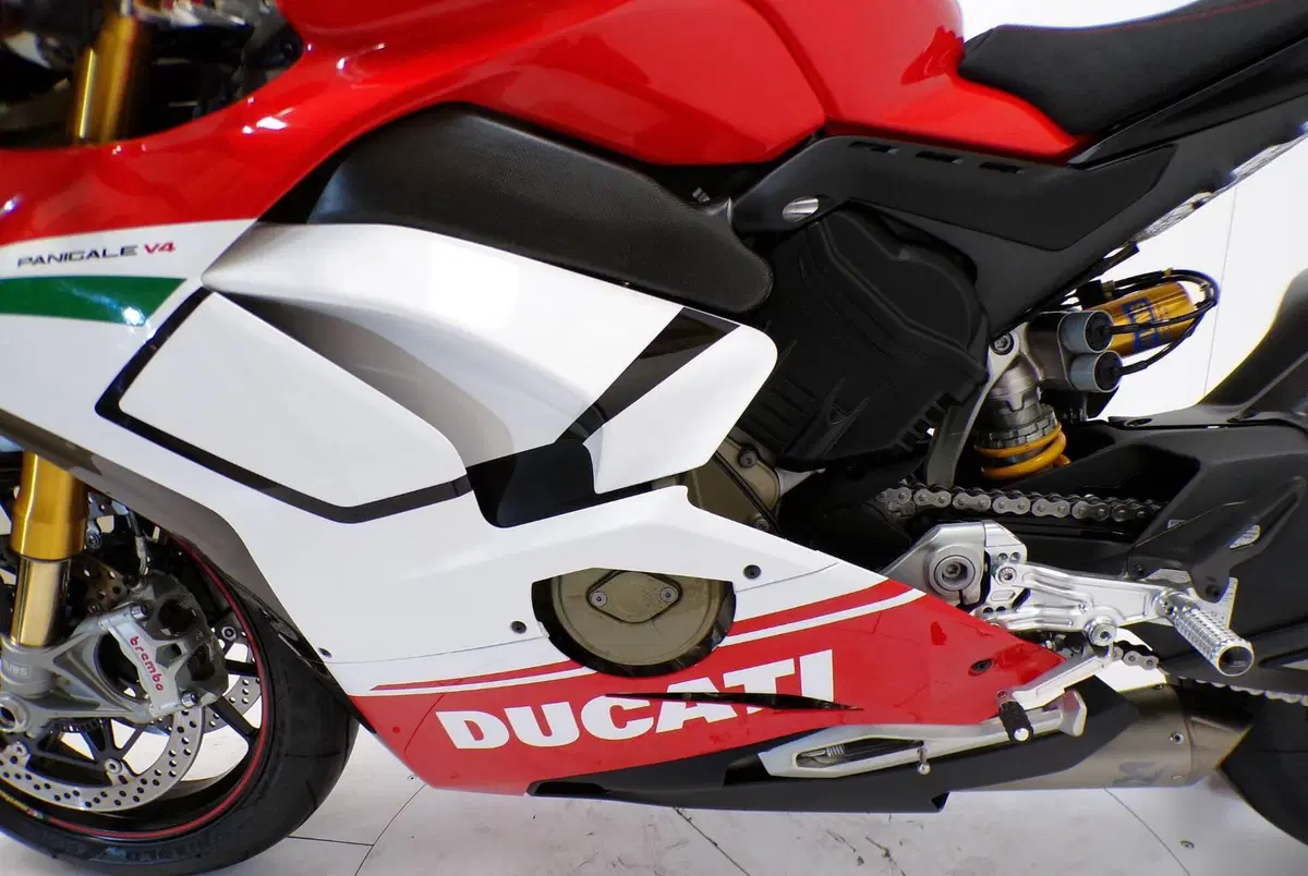Ducati Panigale V4 Speciale 1100 (2018 - 19) (8)