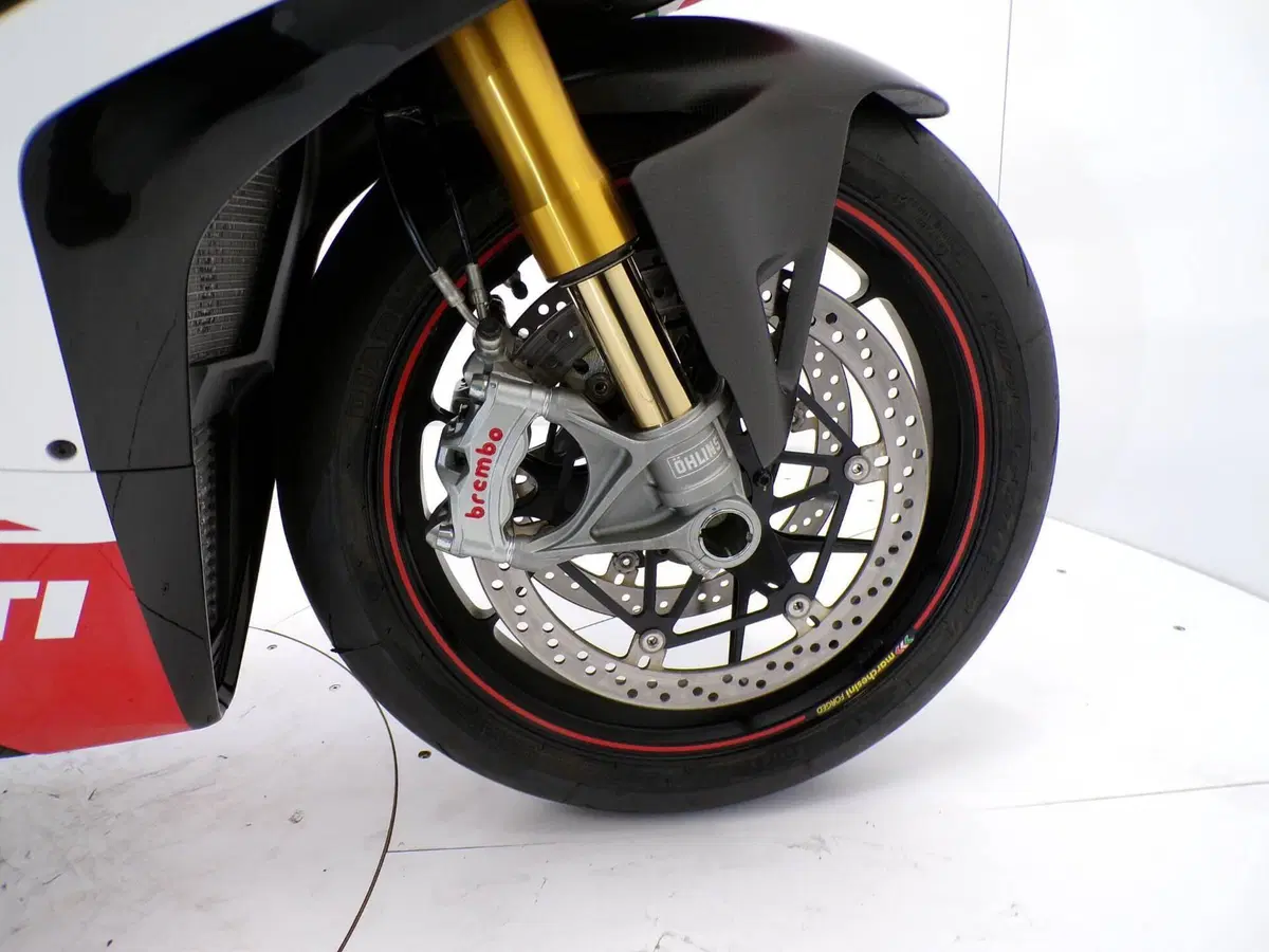 Ducati Panigale V4 Speciale 1100 (2018 - 19) (13)