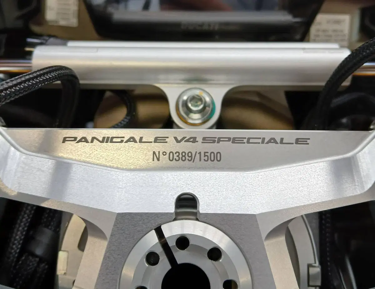 Ducati Panigale V4 Speciale 1100 (2018 - 19) (14)