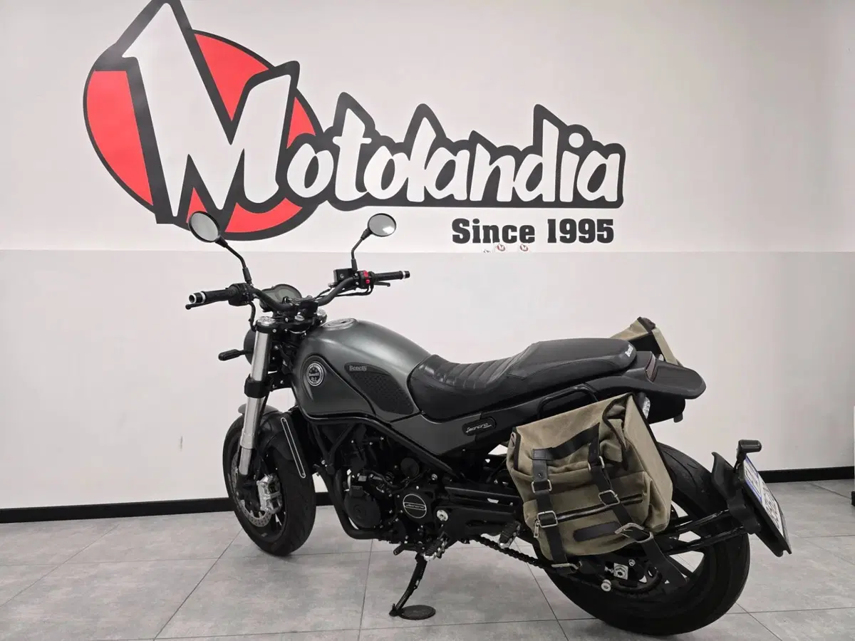 Benelli Leoncino 500 (2021 - 25) (3)