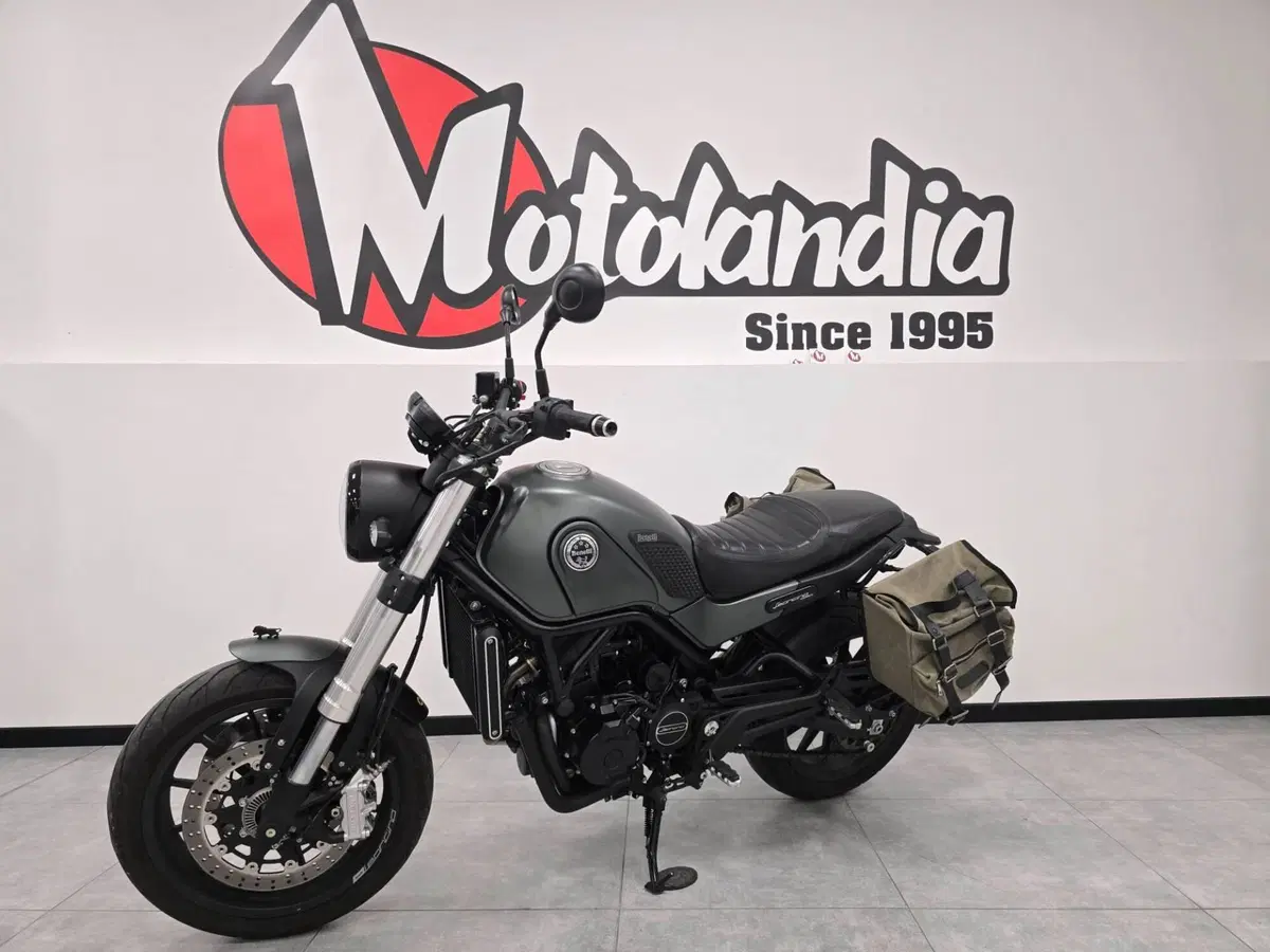 Benelli Leoncino 500 (2021 - 25) (2)