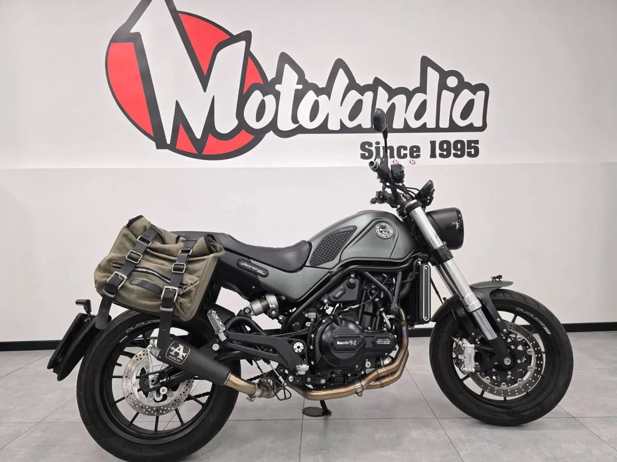 Benelli Leoncino 500 (2021 - 25) (4)