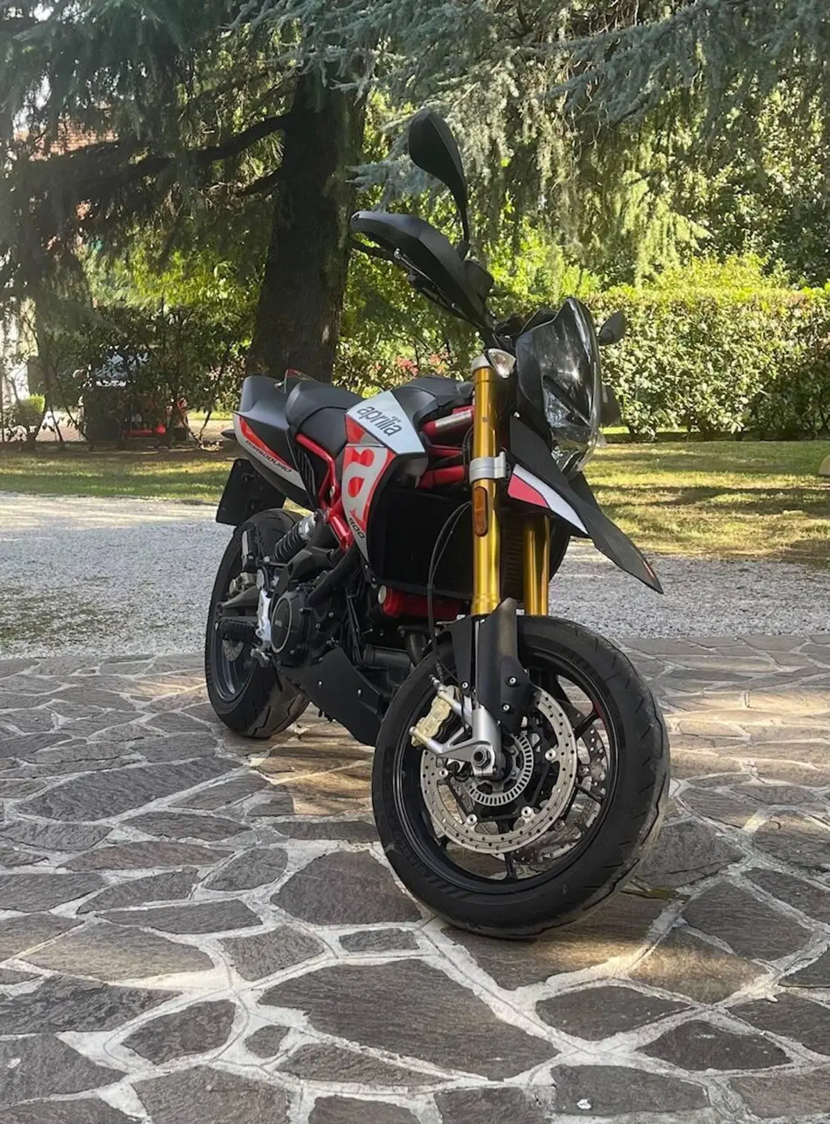 Aprilia Dorsoduro 900 (2017 - 20) (6)