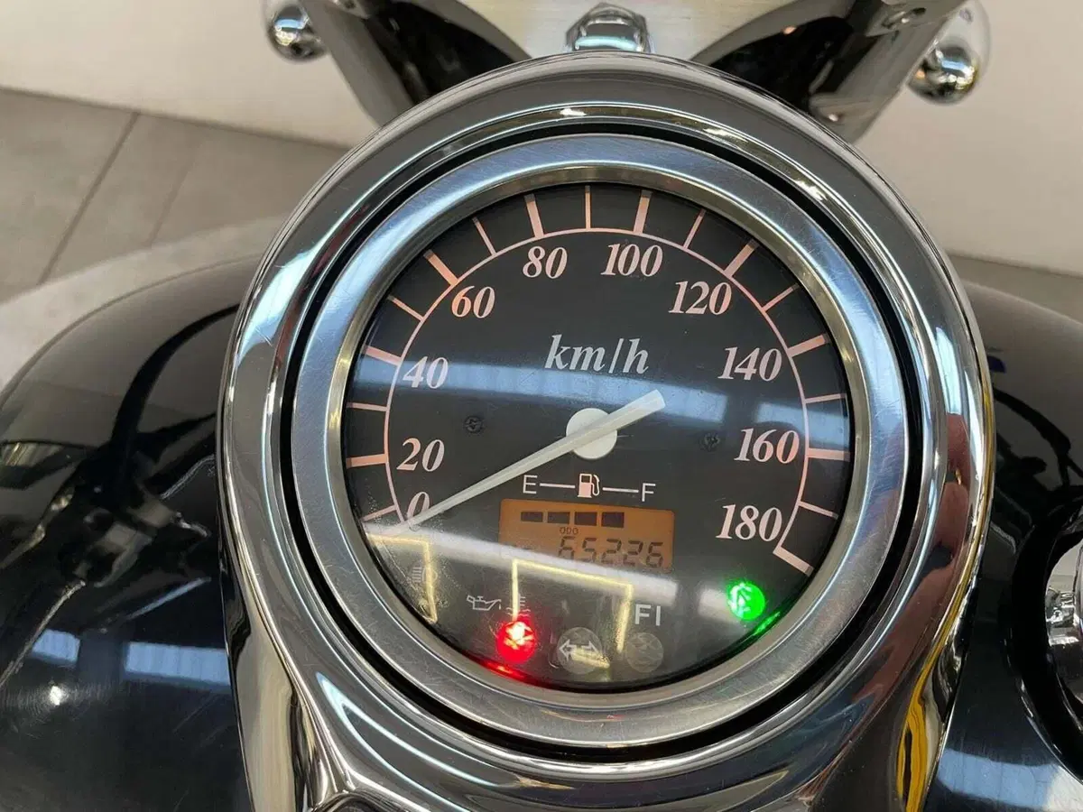Suzuki VL 800 Intruder C (2005 - 06) (9)