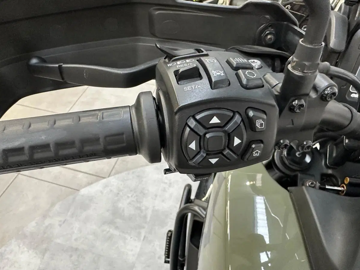 Harley-Davidson Pan America 1250 Special (2020 - 25) (8)
