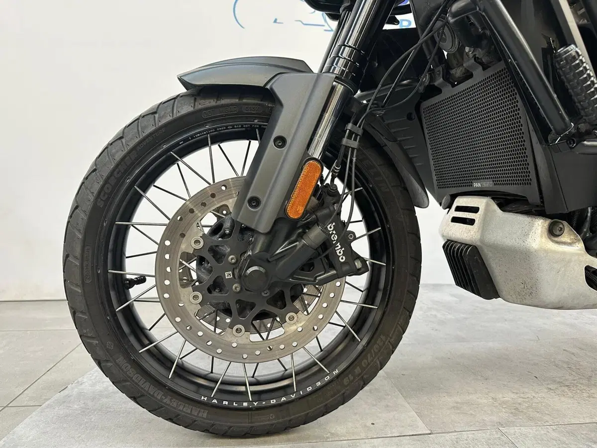 Harley-Davidson Pan America 1250 Special (2020 - 25) (10)