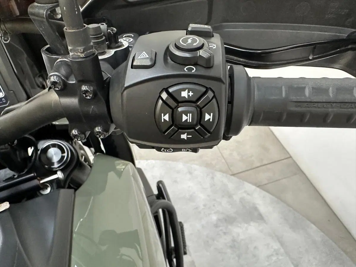 Harley-Davidson Pan America 1250 Special (2020 - 25) (13)