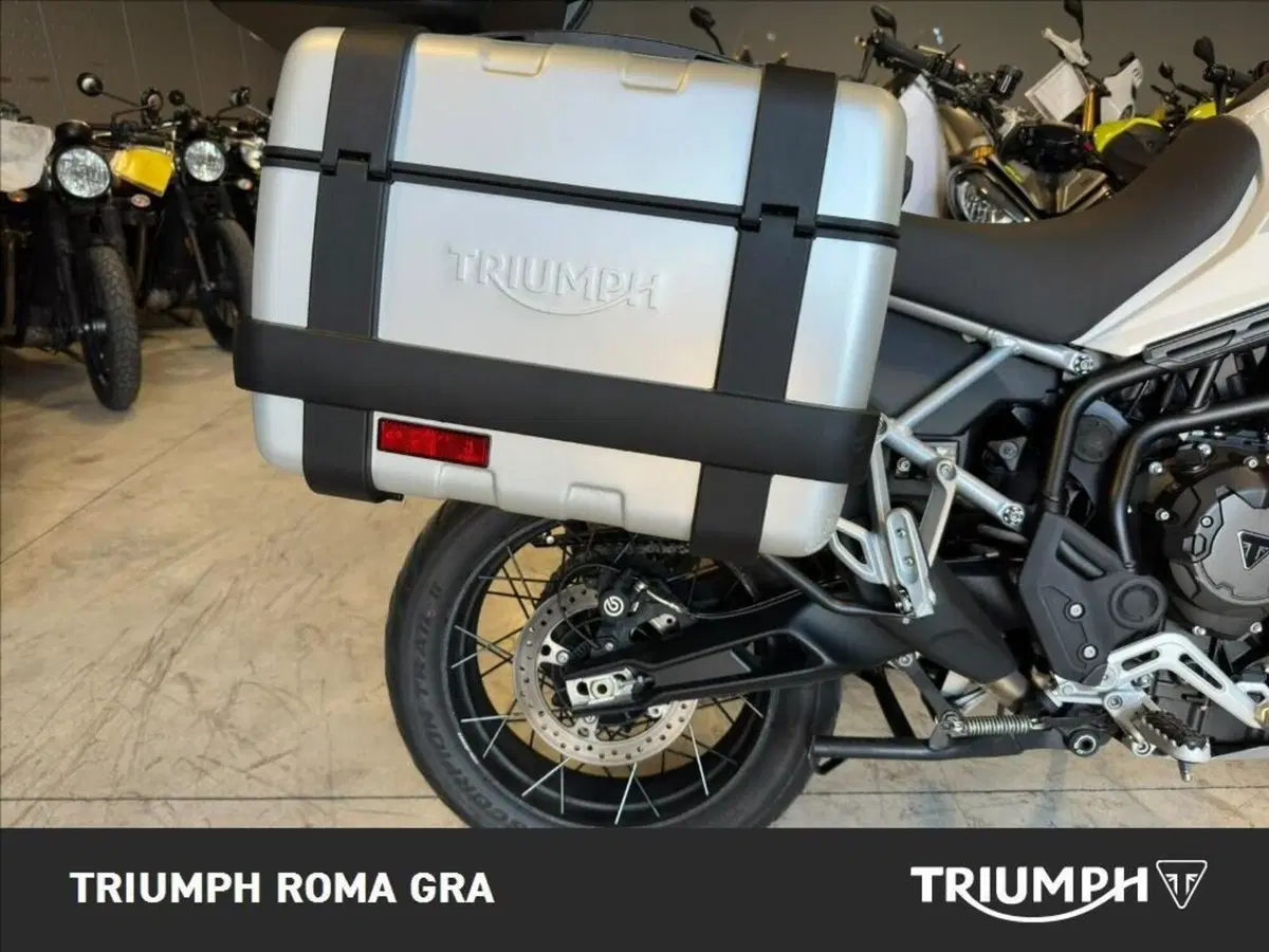 Triumph Tiger 900 Rally Pro (2020 - 23) (5)