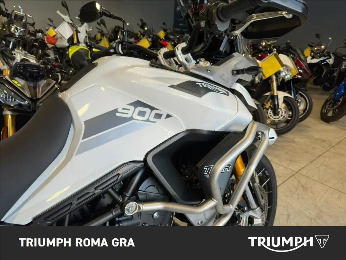 Triumph Tiger 900 Rally Pro (2020 - 23) (13)