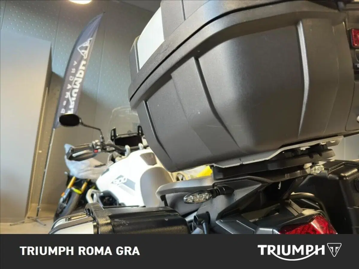 Triumph Tiger 900 Rally Pro (2020 - 23) (17)
