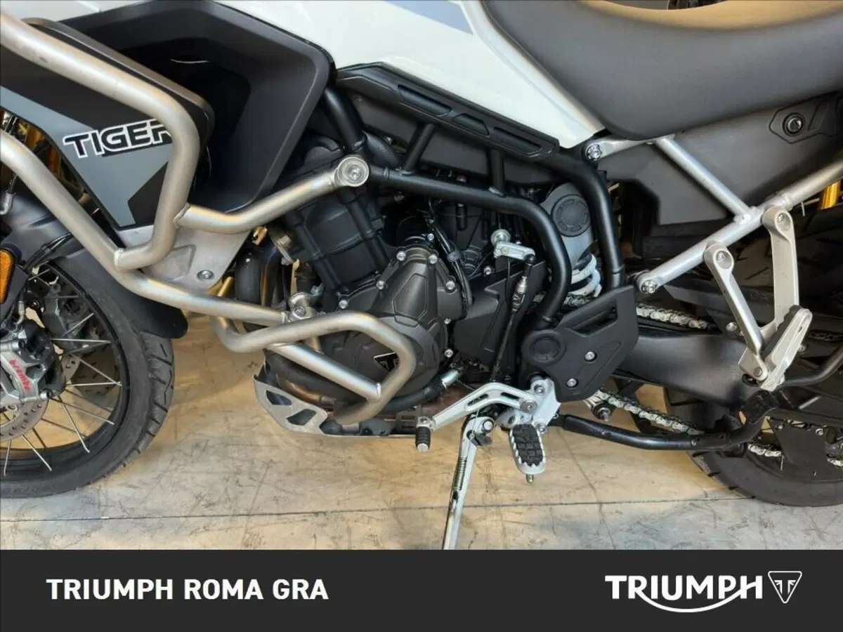 Triumph Tiger 900 Rally Pro (2020 - 23) (9)