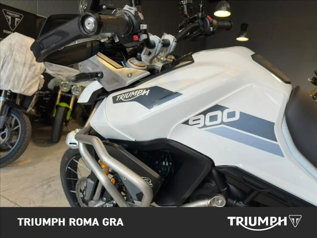 Triumph Tiger 900 Rally Pro (2020 - 23) (14)