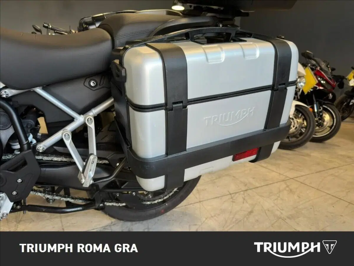 Triumph Tiger 900 Rally Pro (2020 - 23) (10)