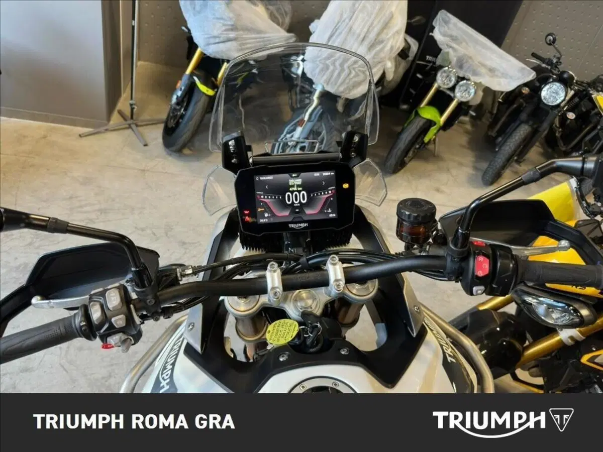 Triumph Tiger 900 Rally Pro (2020 - 23) (18)
