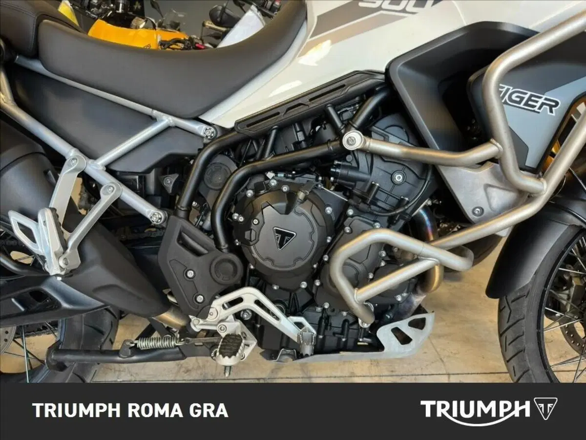 Triumph Tiger 900 Rally Pro (2020 - 23) (6)