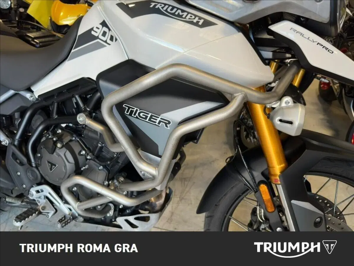 Triumph Tiger 900 Rally Pro (2020 - 23) (15)