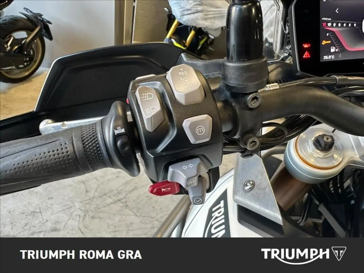 Triumph Tiger 900 Rally Pro (2020 - 23) (19)