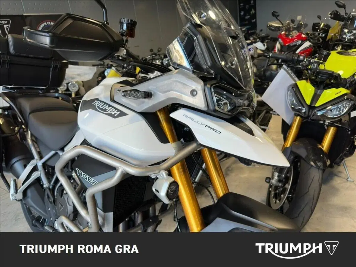 Triumph Tiger 900 Rally Pro (2020 - 23) (11)