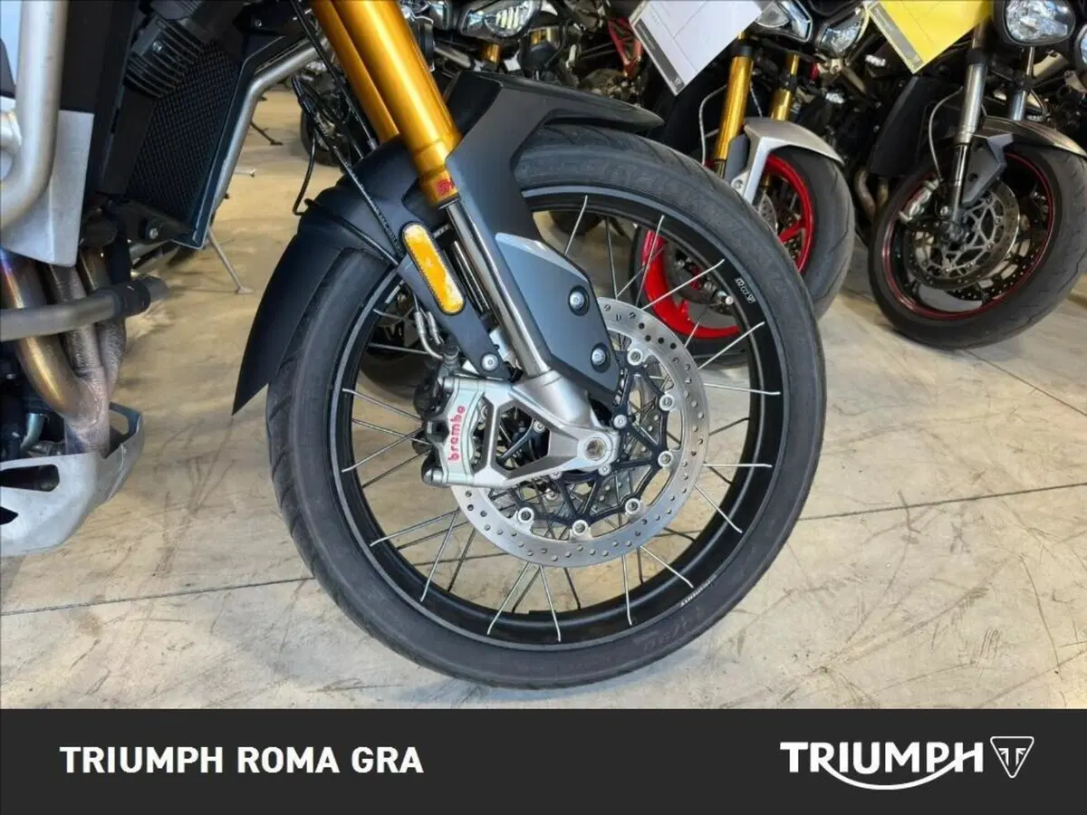Triumph Tiger 900 Rally Pro (2020 - 23) (7)