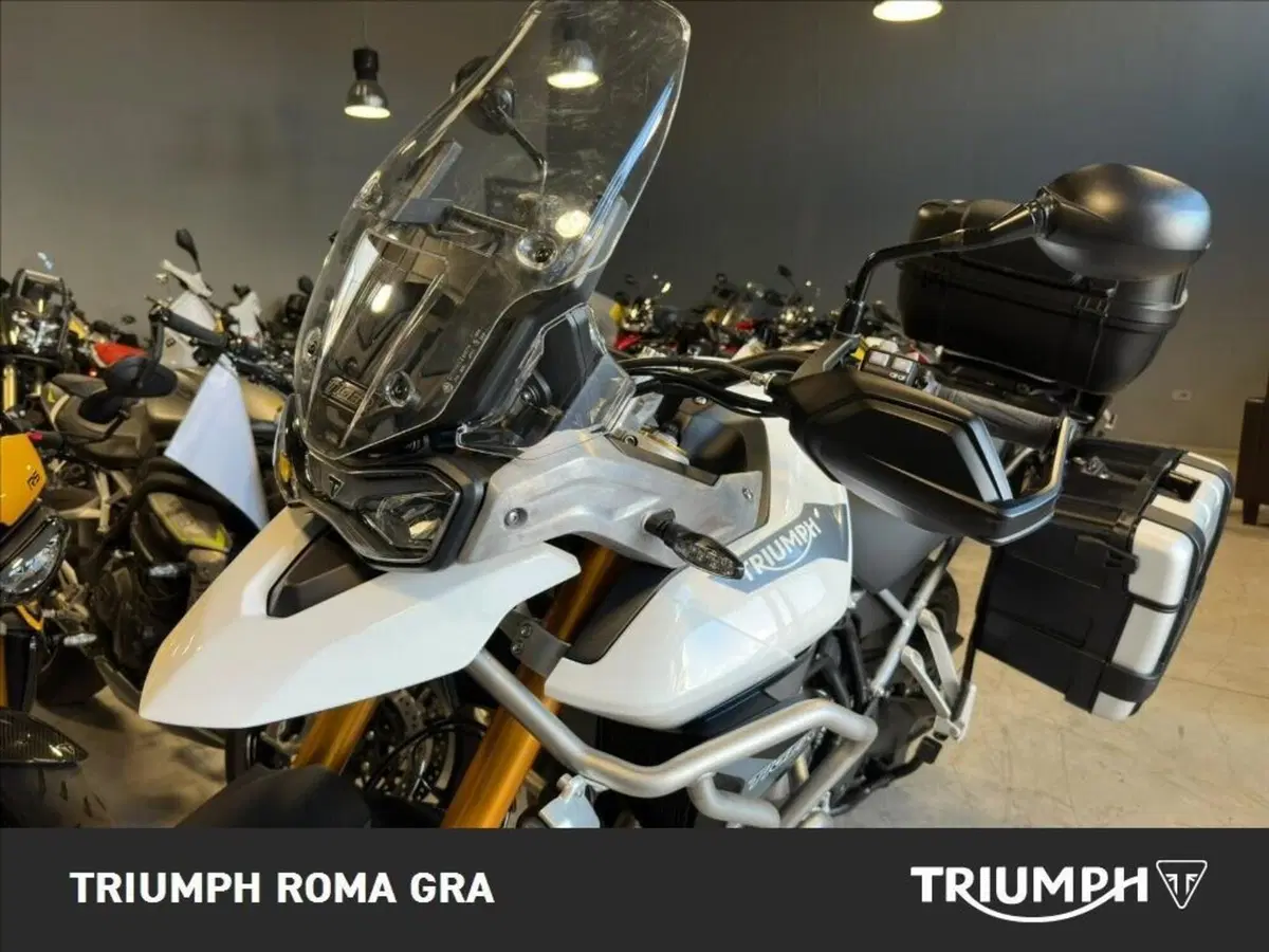 Triumph Tiger 900 Rally Pro (2020 - 23) (12)