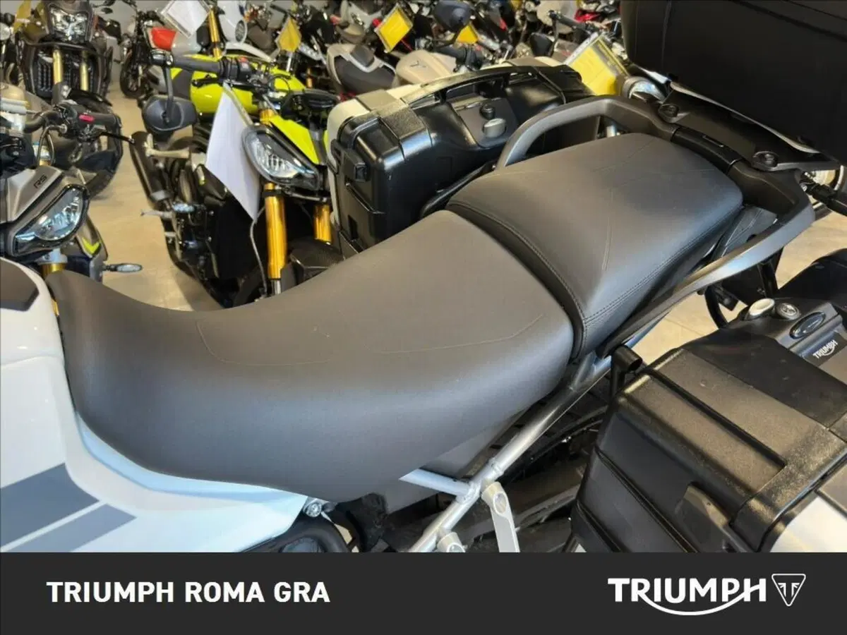 Triumph Tiger 900 Rally Pro (2020 - 23) (16)