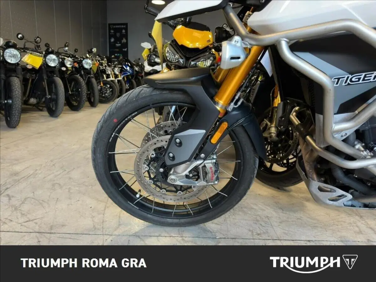 Triumph Tiger 900 Rally Pro (2020 - 23) (8)