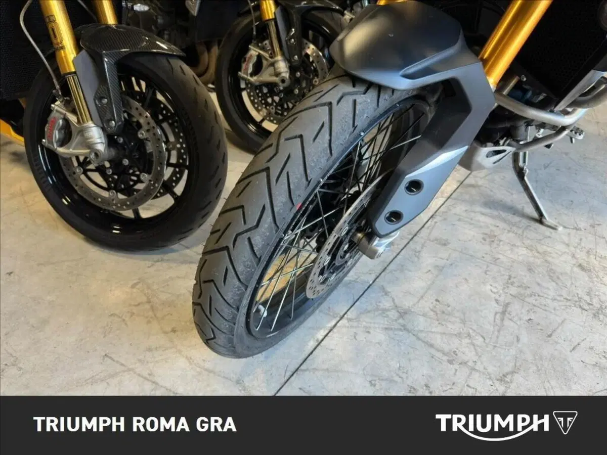 Triumph Tiger 900 Rally Pro (2020 - 23) (21)