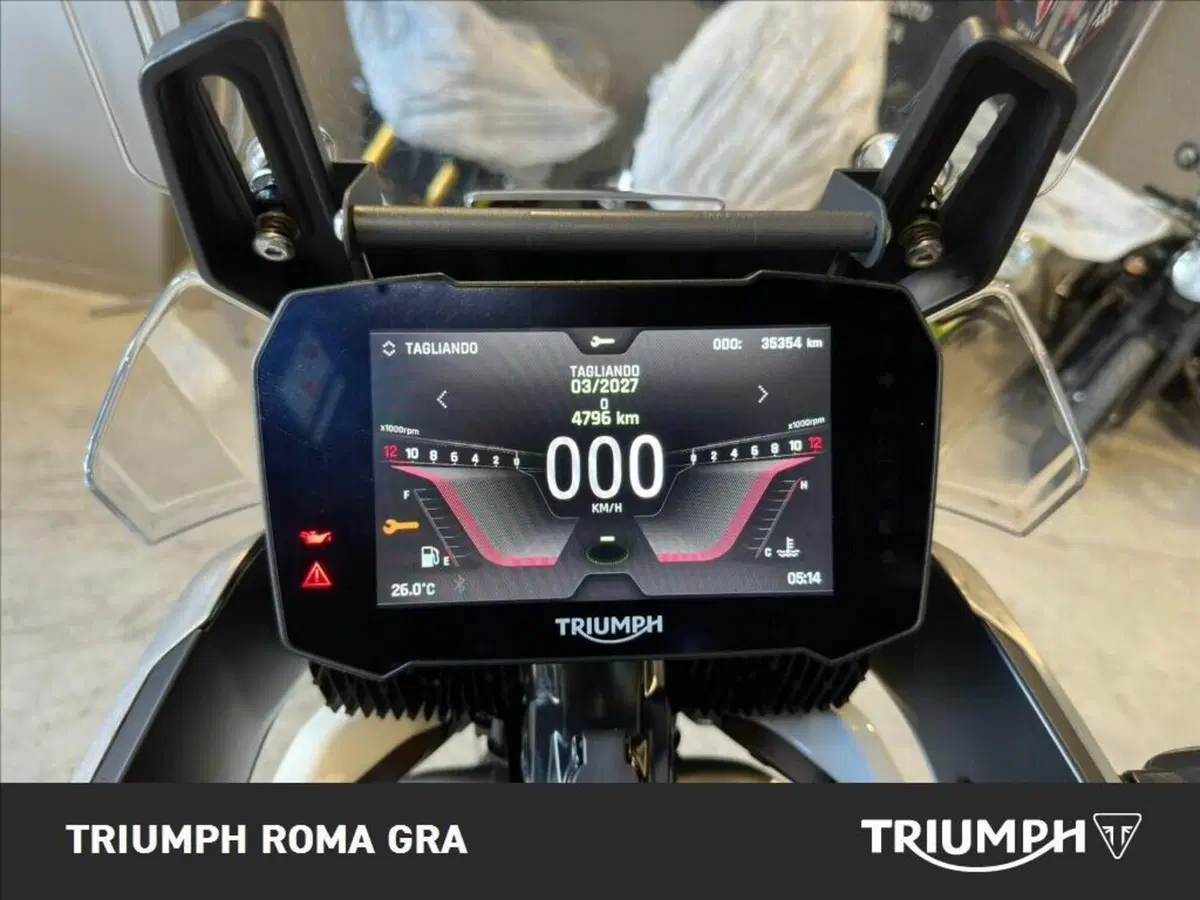 Triumph Tiger 900 Rally Pro (2020 - 23) (4)