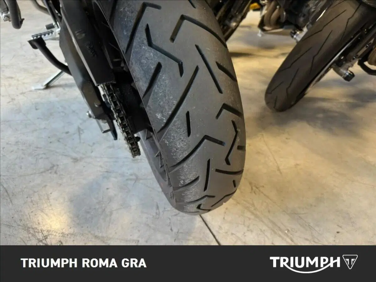 Triumph Tiger 900 Rally Pro (2020 - 23) (22)