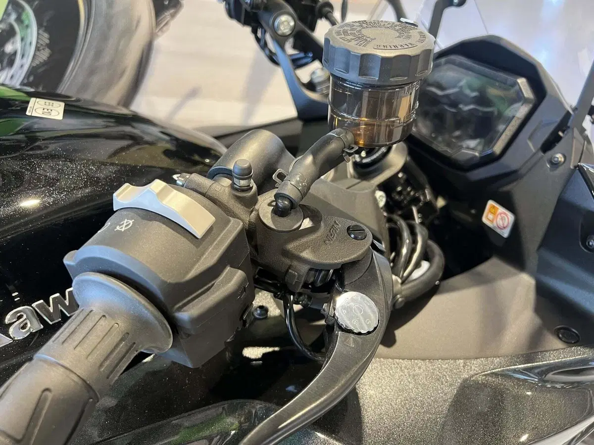 Kawasaki Ninja 1100 SX (2025 - 27) (4)