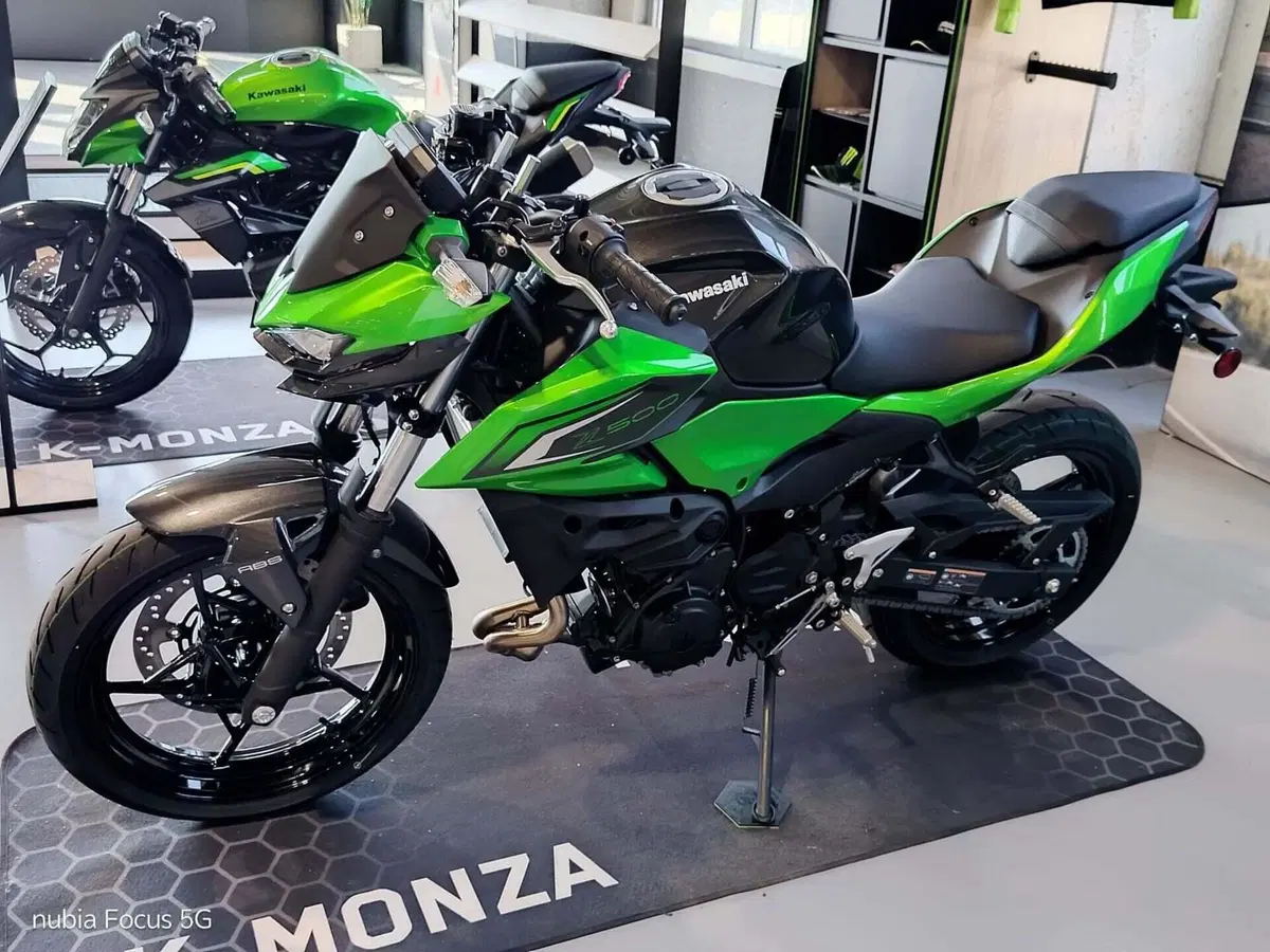 Kawasaki Z 500 (2024 - 27) (3)