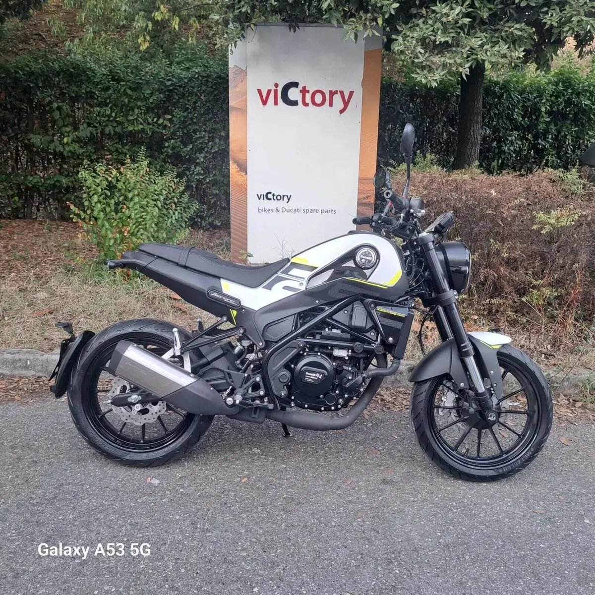 Benelli Leoncino 250 (2021 - 25)