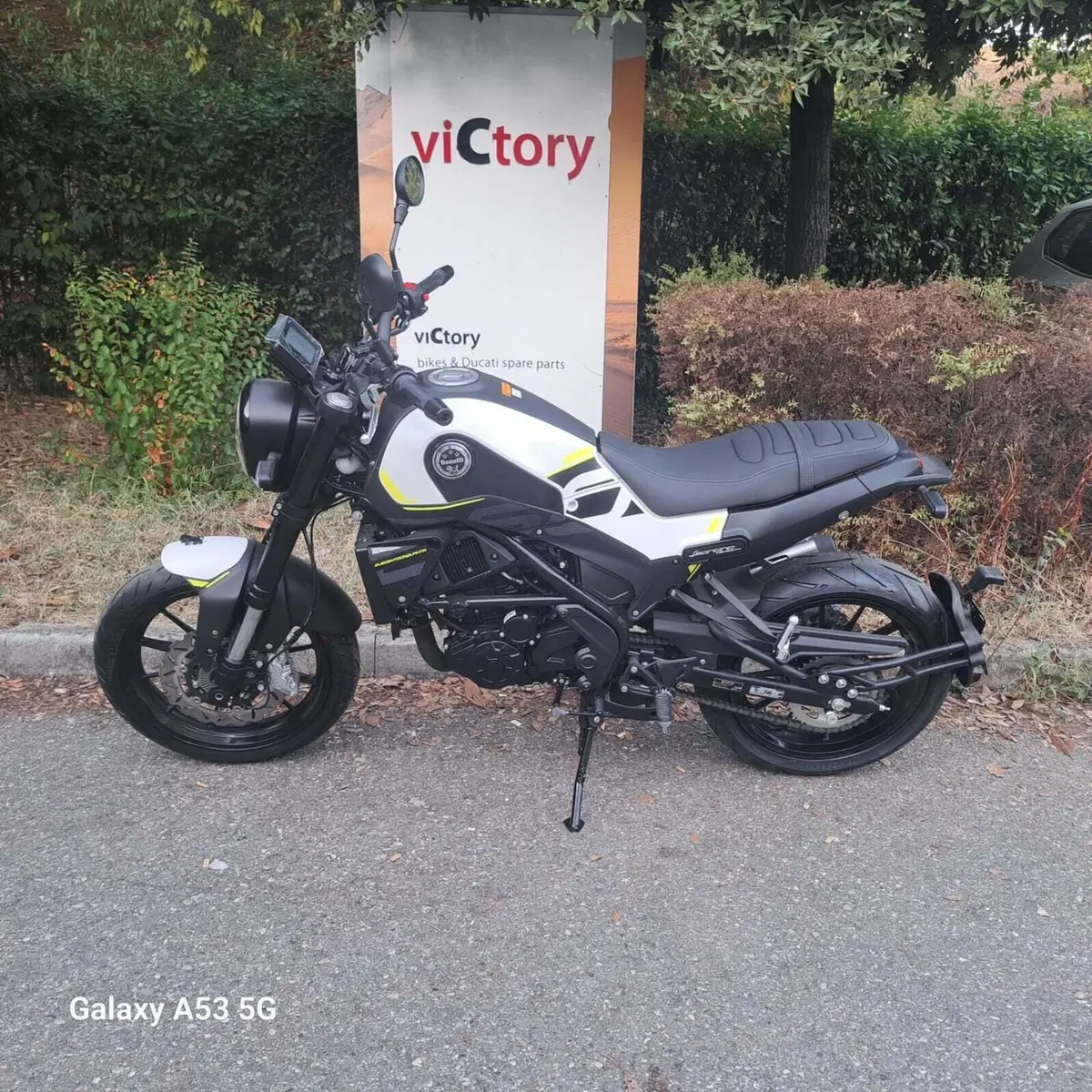 Benelli Leoncino 250 (2021 - 25) (2)