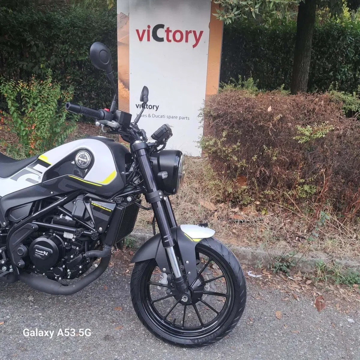 Benelli Leoncino 250 (2021 - 25) (3)