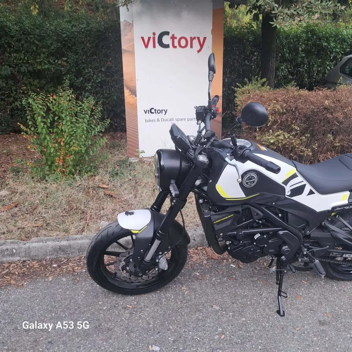 Benelli Leoncino 250 (2021 - 25) (4)