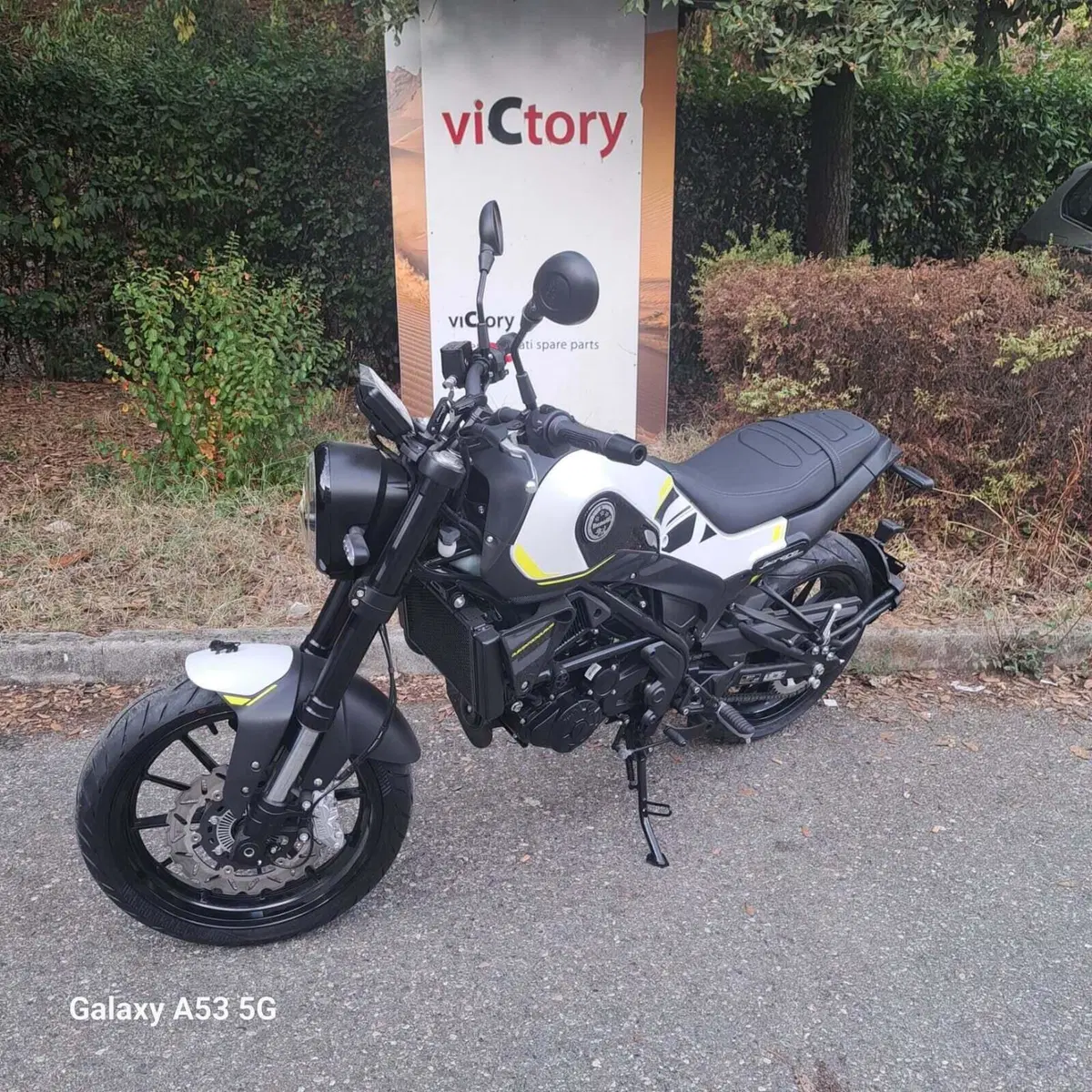 Benelli Leoncino 250 (2021 - 25) (5)