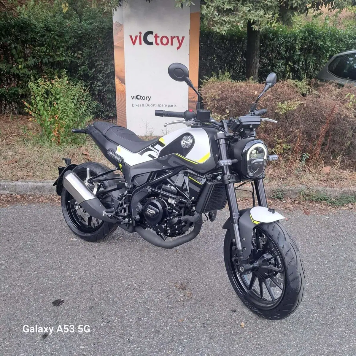 Benelli Leoncino 250 (2021 - 25) (7)