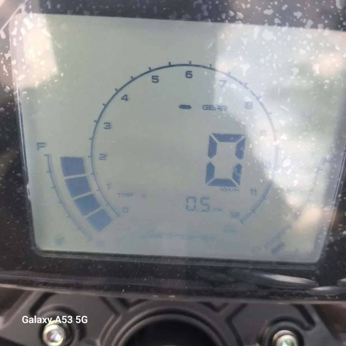 Benelli Leoncino 250 (2021 - 25) (8)