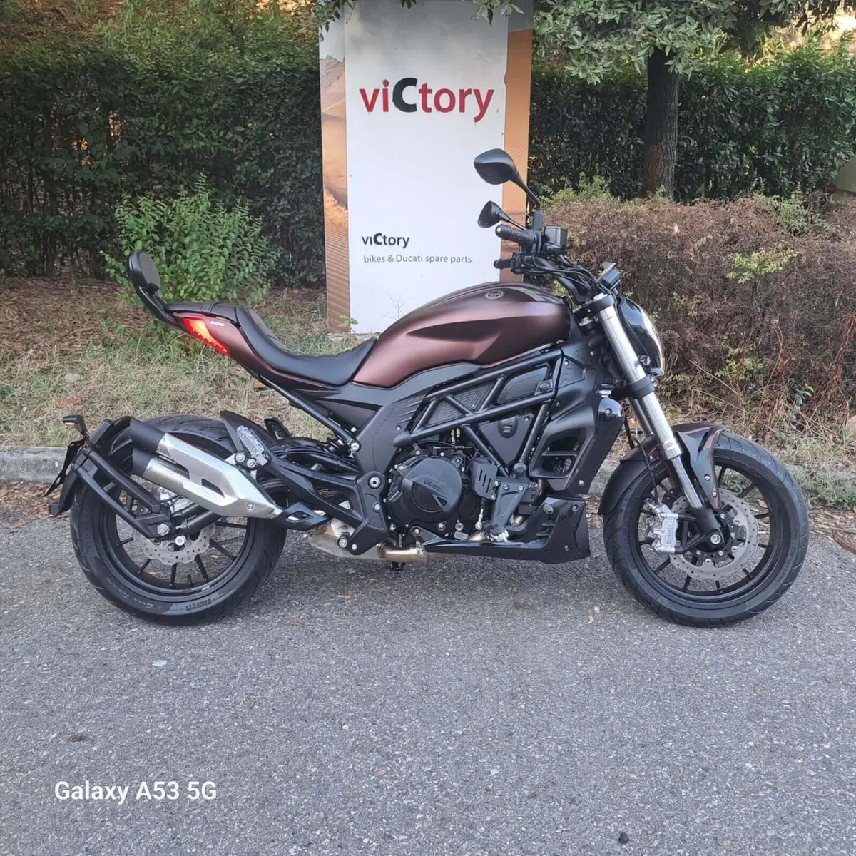 Benelli 502 C (2021 - 25)