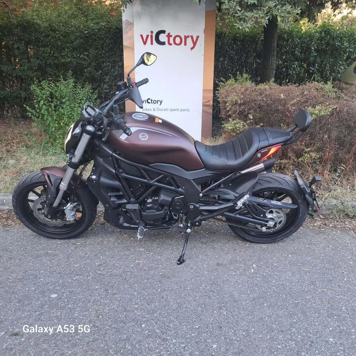 Benelli 502 C (2021 - 25) (2)