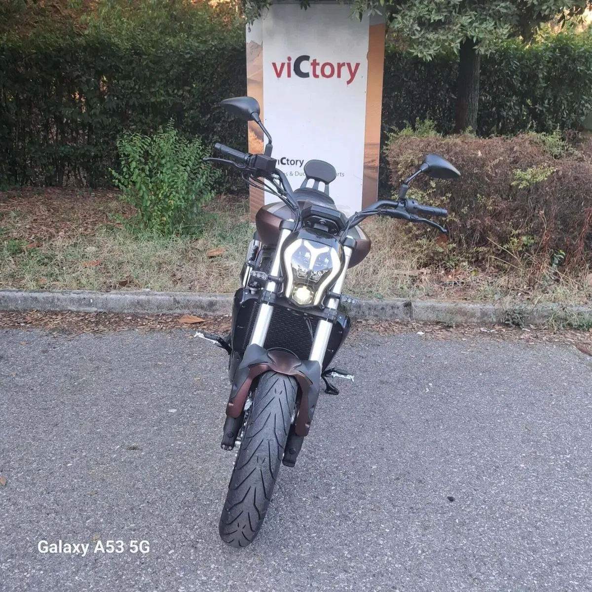 Benelli 502 C (2021 - 25) (4)