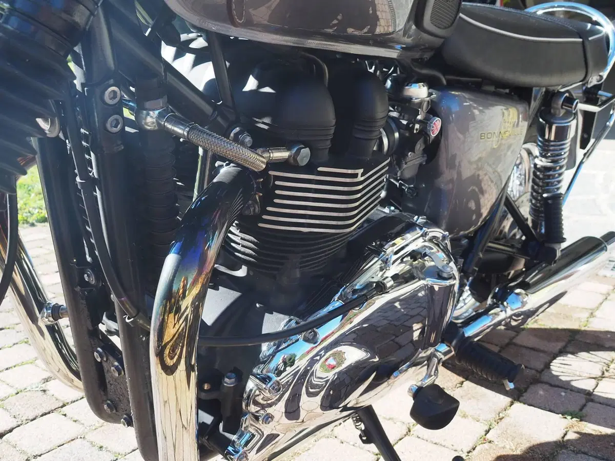 Triumph Bonneville T100 (2008 - 16) (3)
