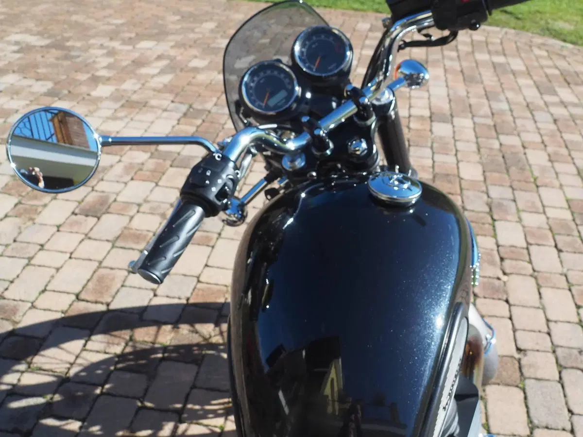 Triumph Bonneville T100 (2008 - 16) (9)