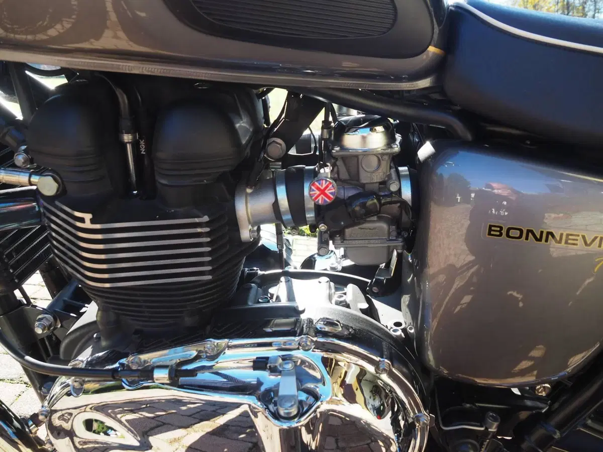 Triumph Bonneville T100 (2008 - 16) (13)