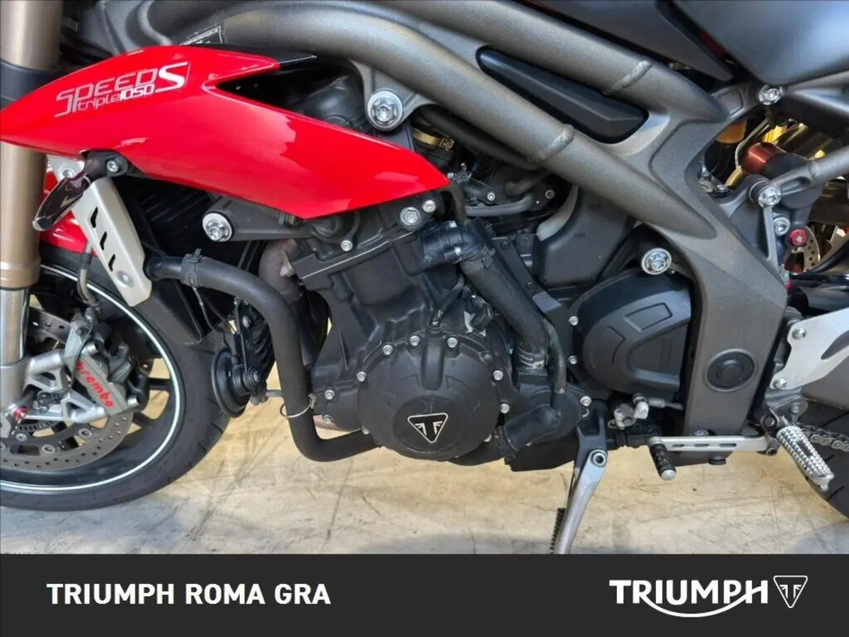 Triumph Speed Triple 1050 S ABS (2016 - 17) (9)