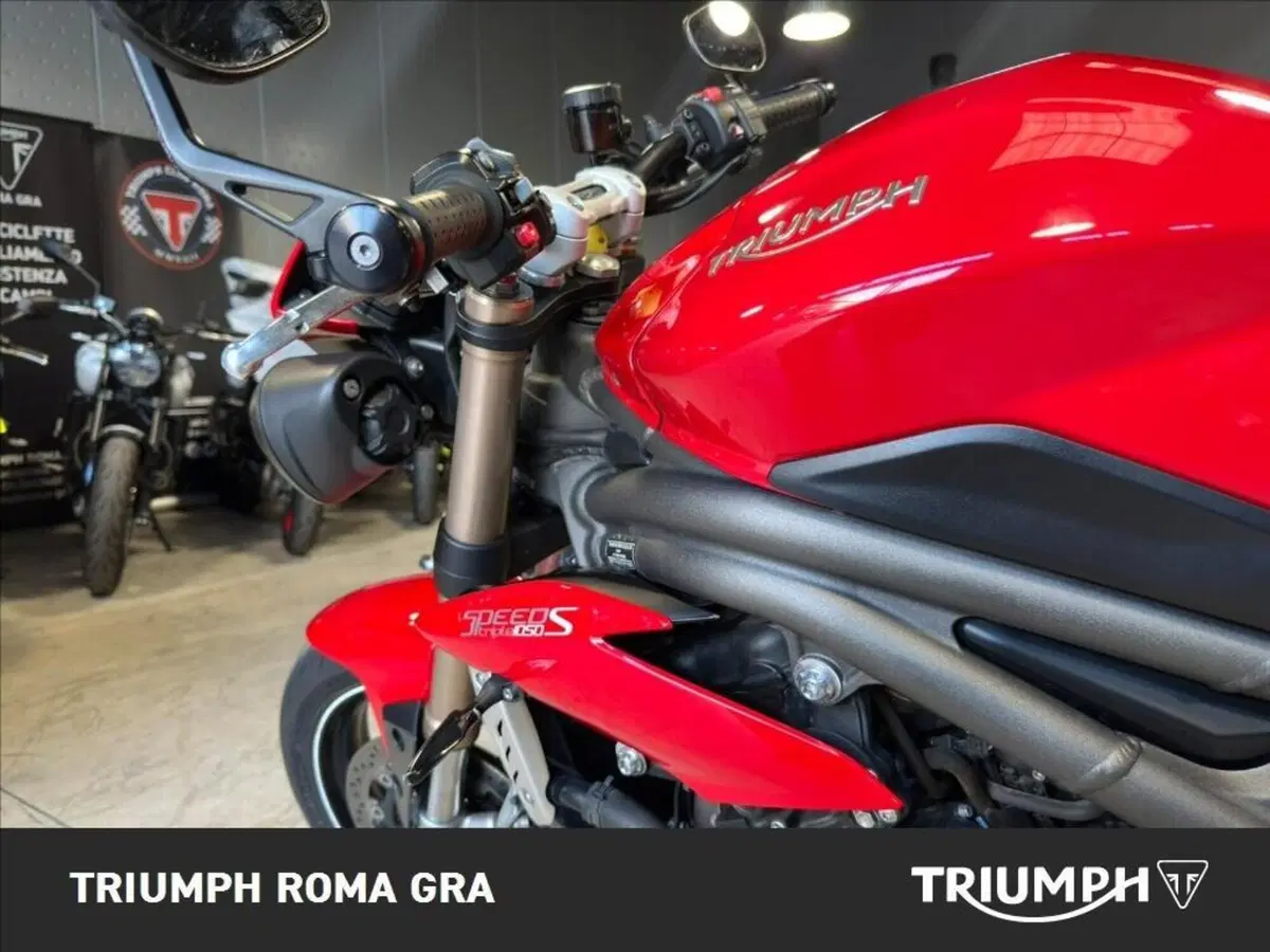 Triumph Speed Triple 1050 S ABS (2016 - 17) (13)