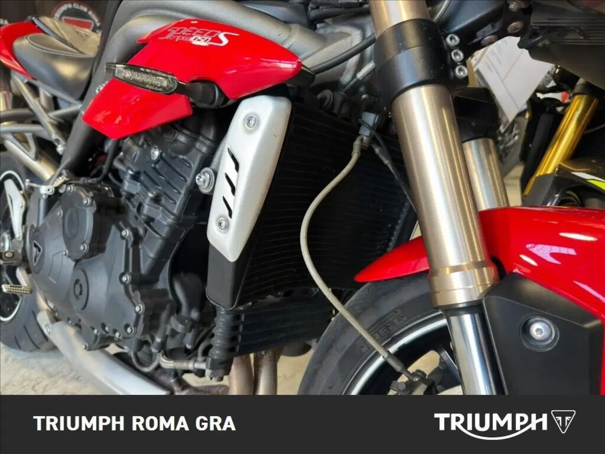 Triumph Speed Triple 1050 S ABS (2016 - 17) (15)