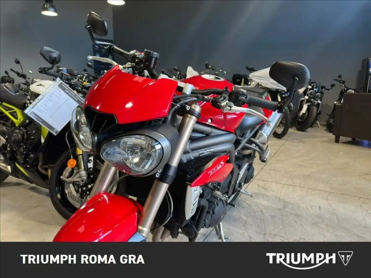 Triumph Speed Triple 1050 S ABS (2016 - 17) (11)