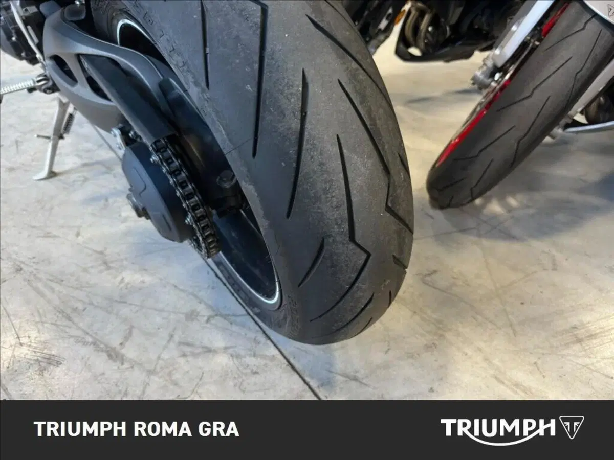 Triumph Speed Triple 1050 S ABS (2016 - 17) (22)
