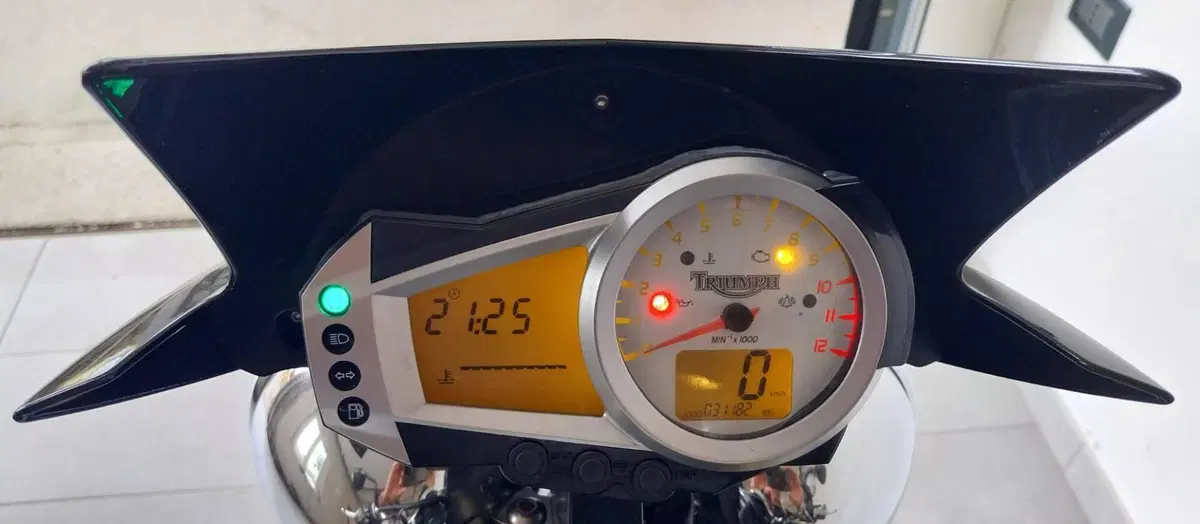 Triumph Speed Triple 1050 (2005 - 11) (2)